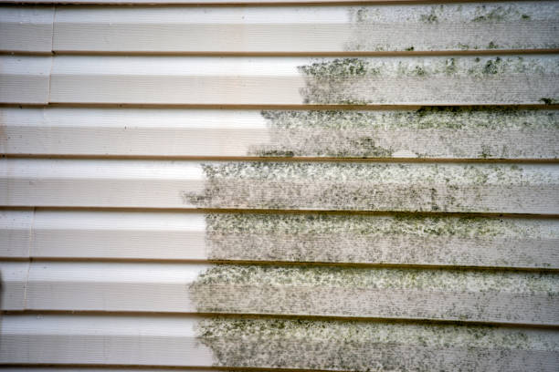 Best Basement Cleanout  in Richwood, LA